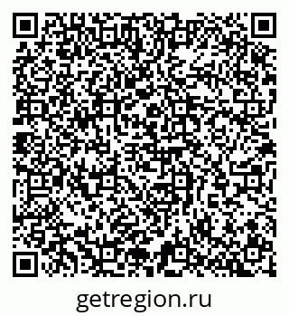 79065260041