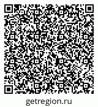 79065404979