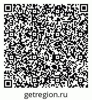 79065480041