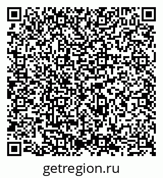 79065500239