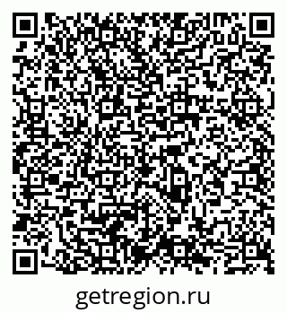 79065502384