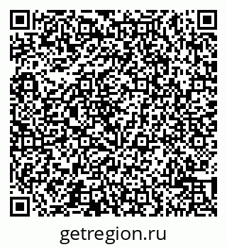 79065503981