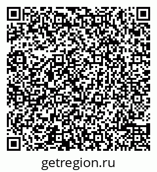 79065504036