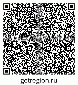 79065536019