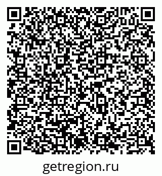 79065536028