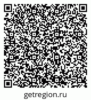79065536033