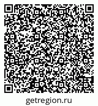 79065559991