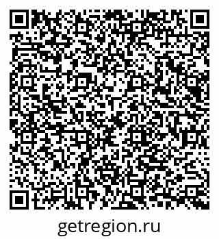 79065655558