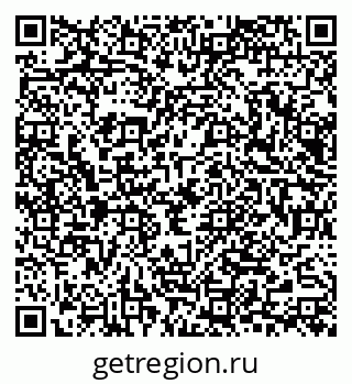 79065669291