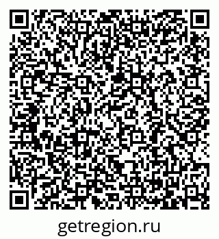 79065682384