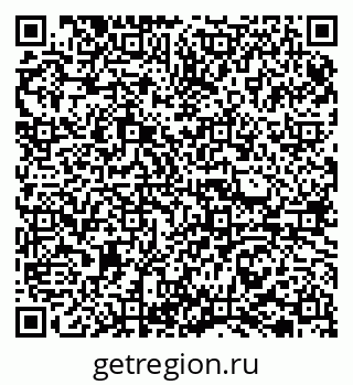79065728381