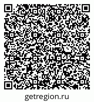 79065732919
