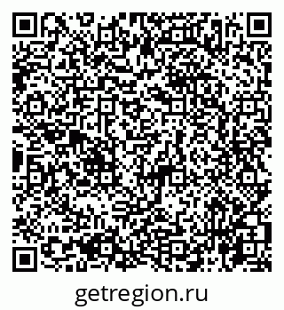 79065767904
