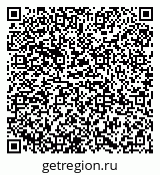 79065981381