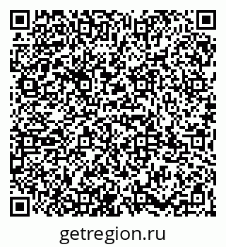 79065981538