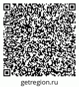 79065988355