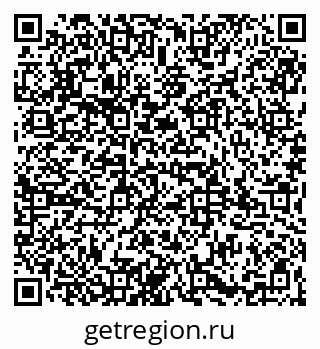 79065995564