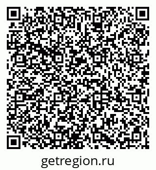 79065996381