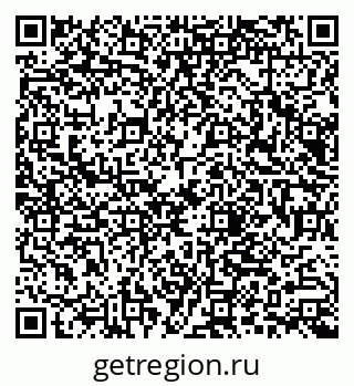 79066002904