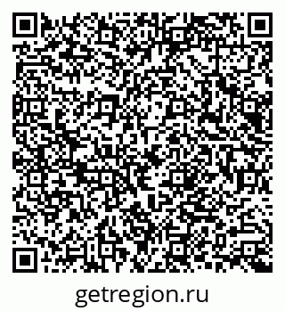 79066002981