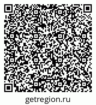 79066003702