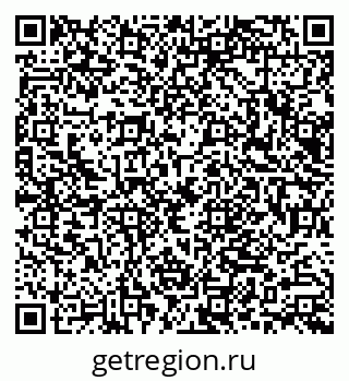 79066003995