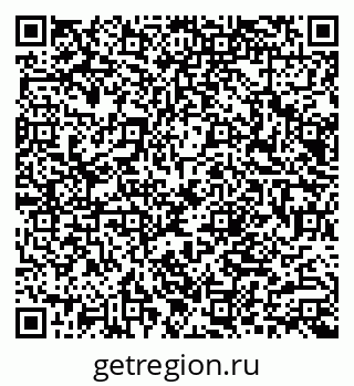 79066004081