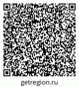 79066004090