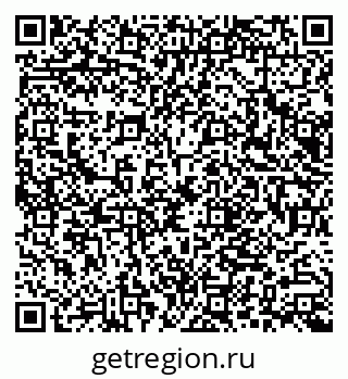 79066004910