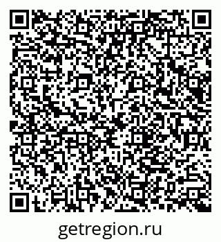 79066004911