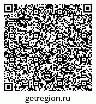 79066004919