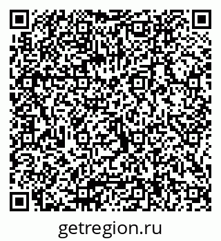 79066004955