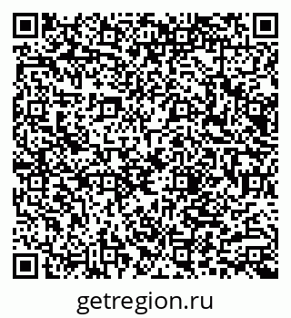 79066005004