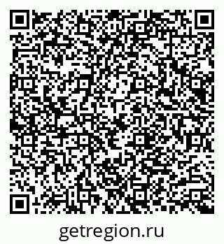 79066005019
