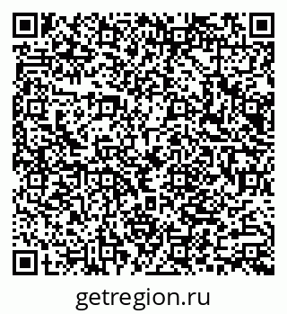 79066005335