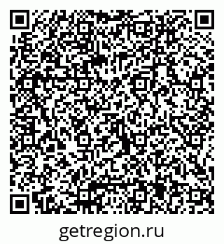 79066005911