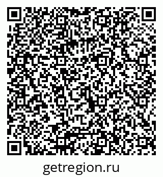 79066006205