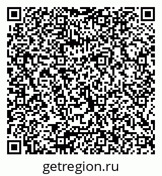 79066006304