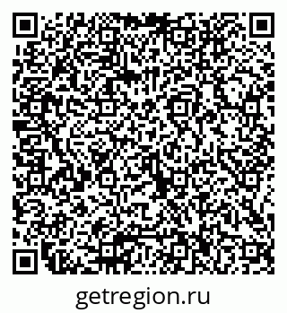 79066006355