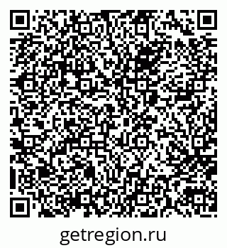 79066006537