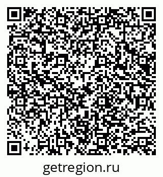 79066006541