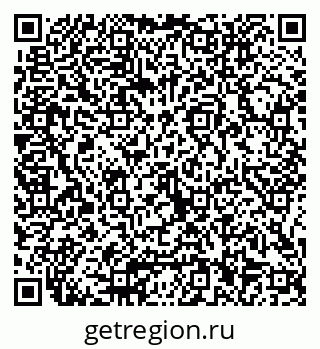 79066006558