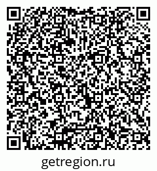 79066006591