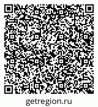 79066006919