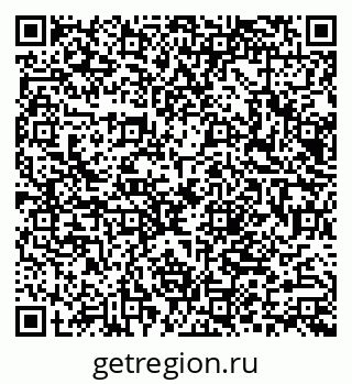79066007381