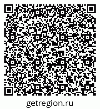 79066007981