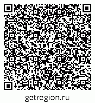 79066010081