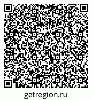 79066010381