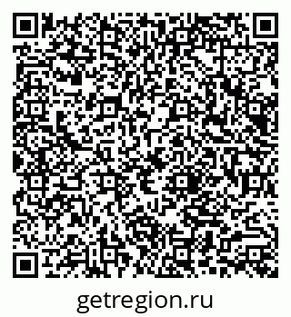 79066011804