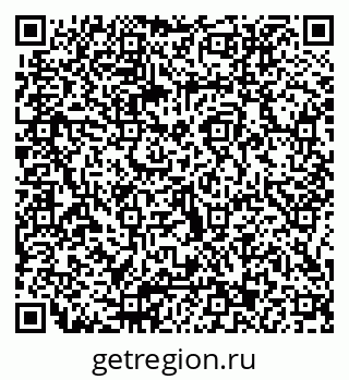 79066013206